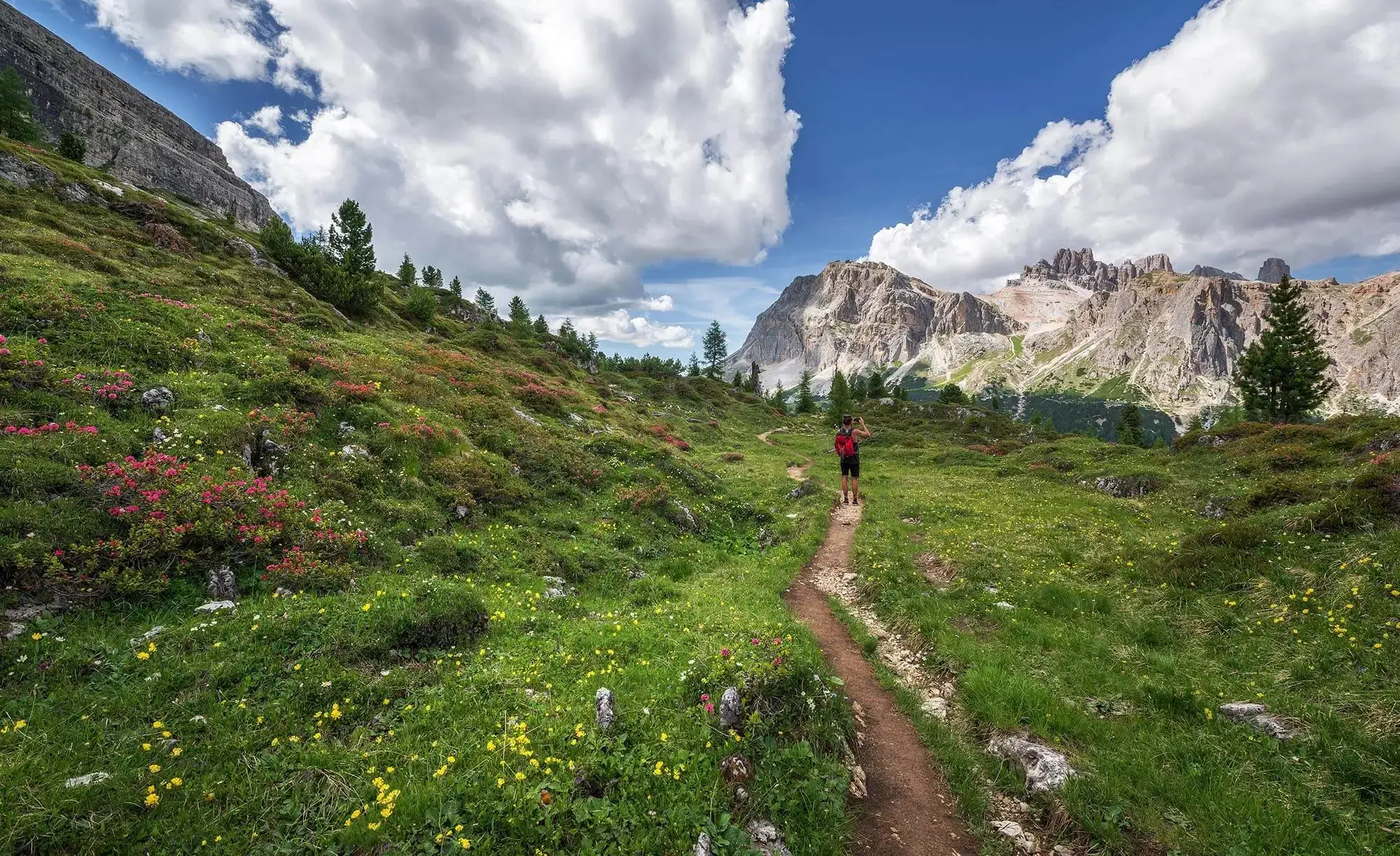 A hike trail leading through mountainous grassland