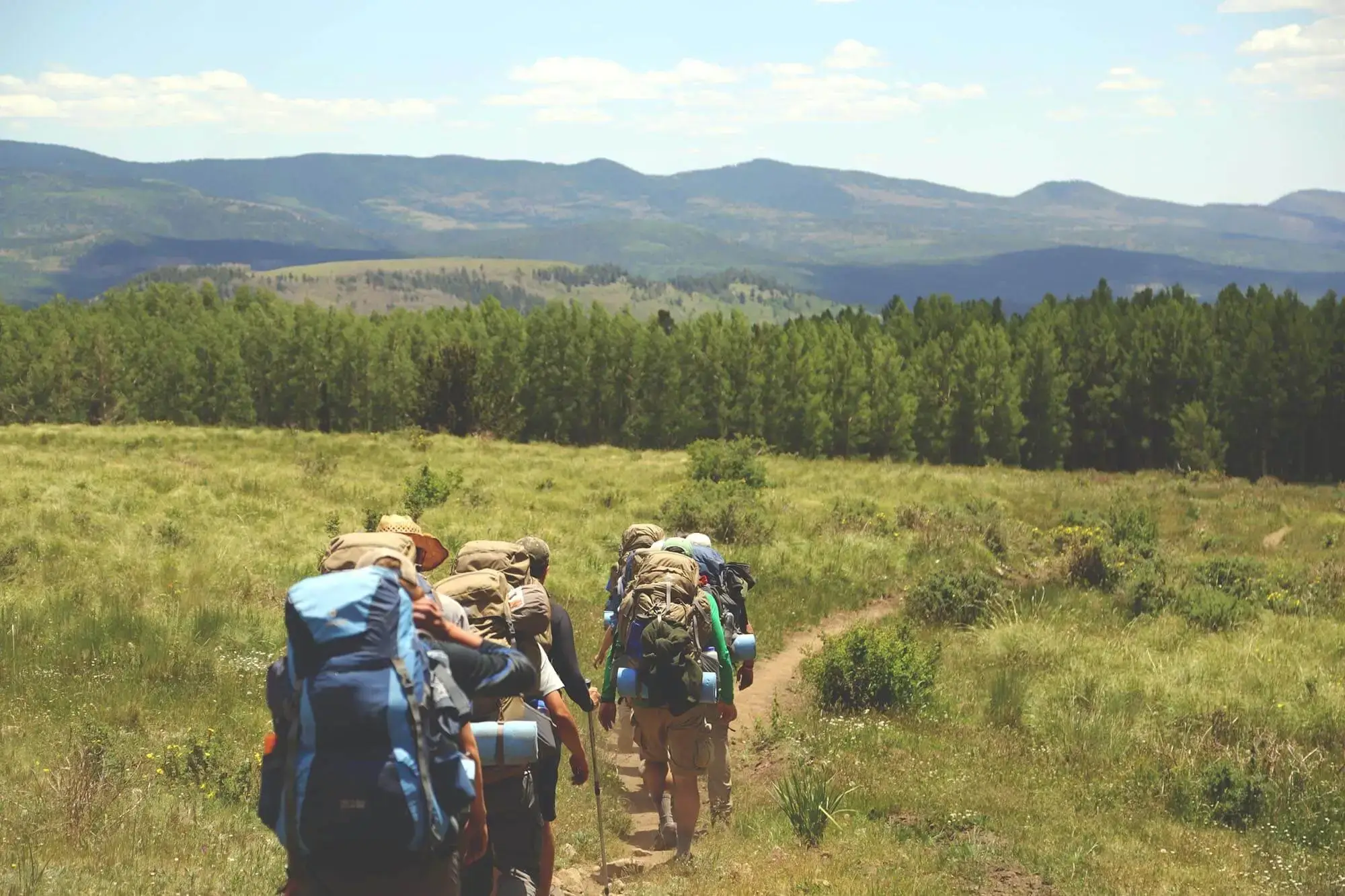 A hike trail through a meadow